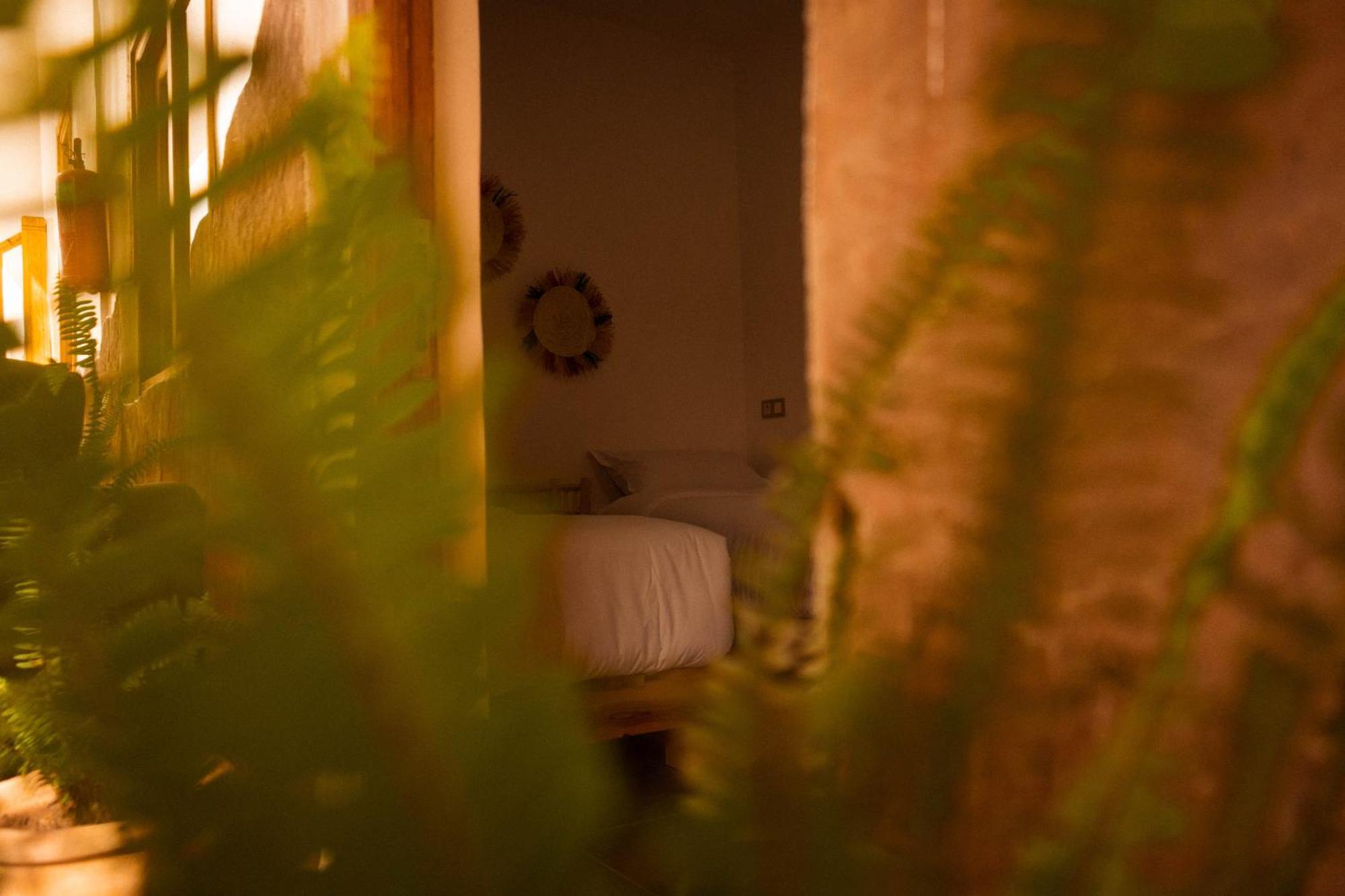 Single Fin Taghazout Surf & Stay Экстерьер фото