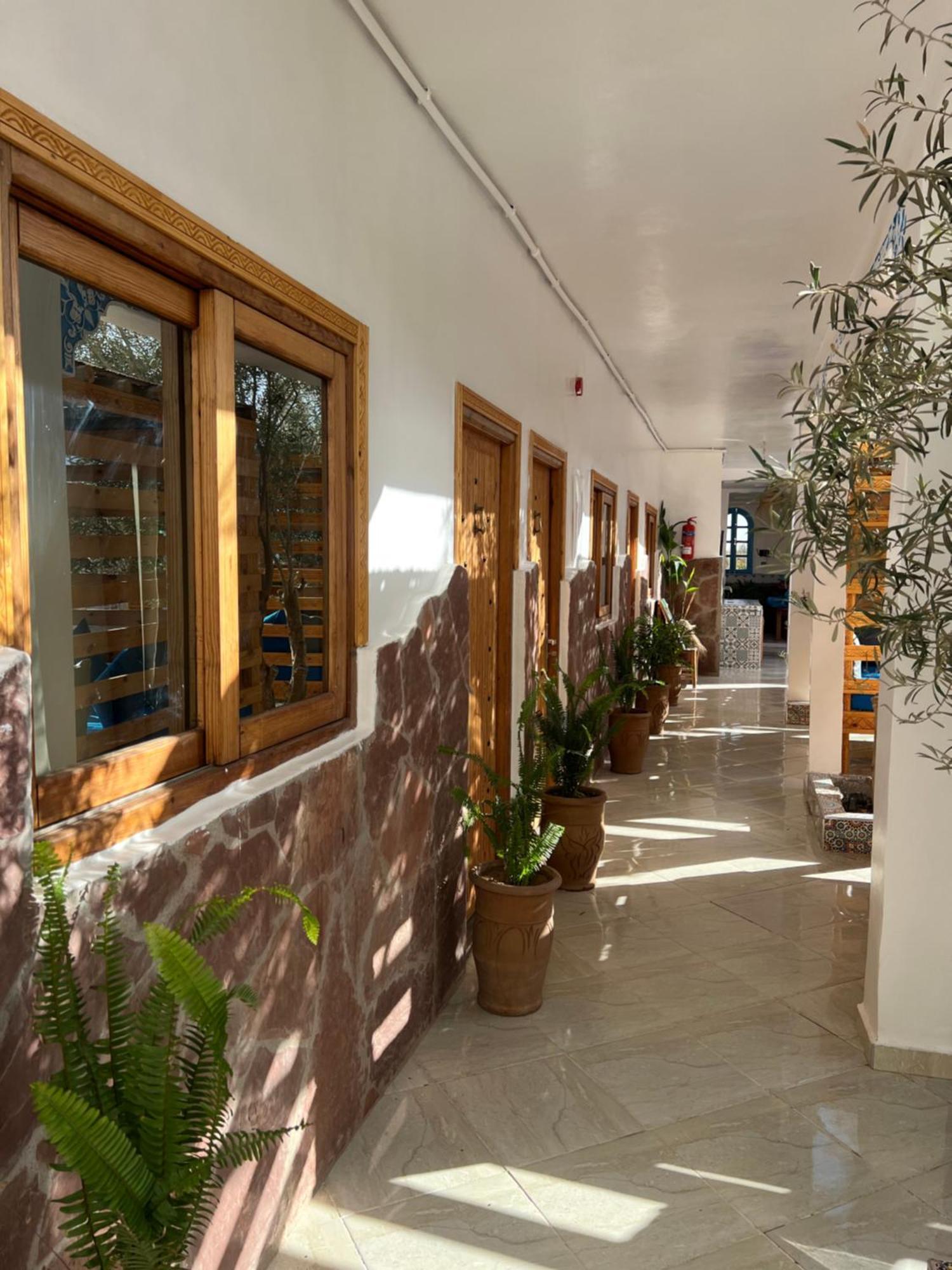 Single Fin Taghazout Surf & Stay Экстерьер фото