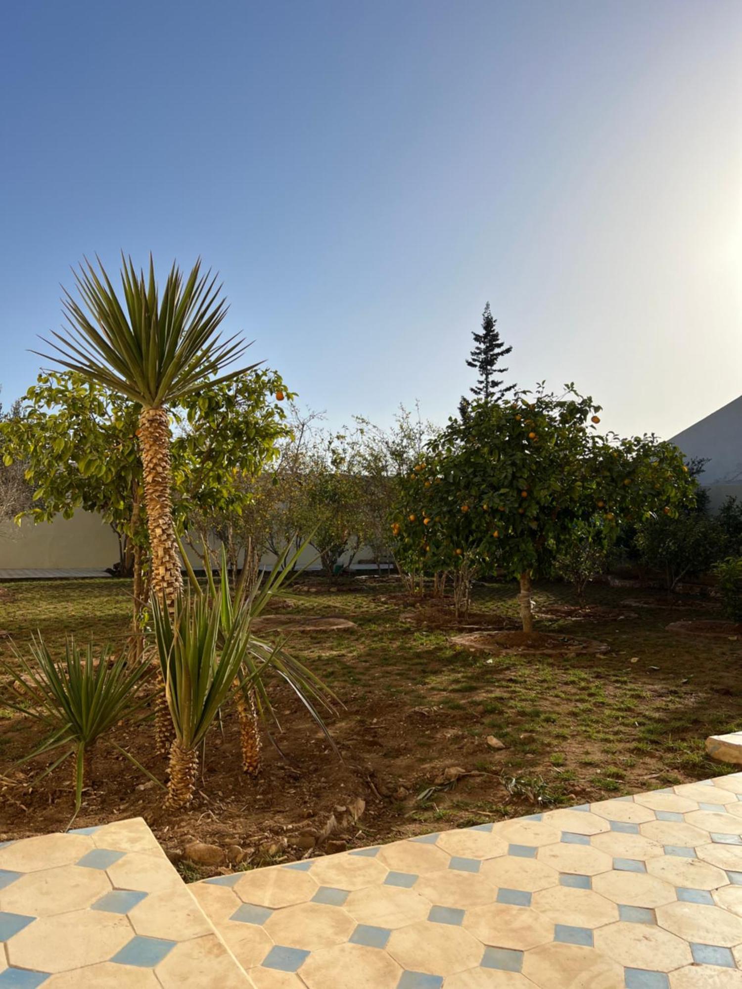 Single Fin Taghazout Surf & Stay Экстерьер фото